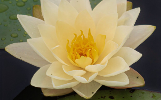 �1758909 �������(a): ����������:2560x1600